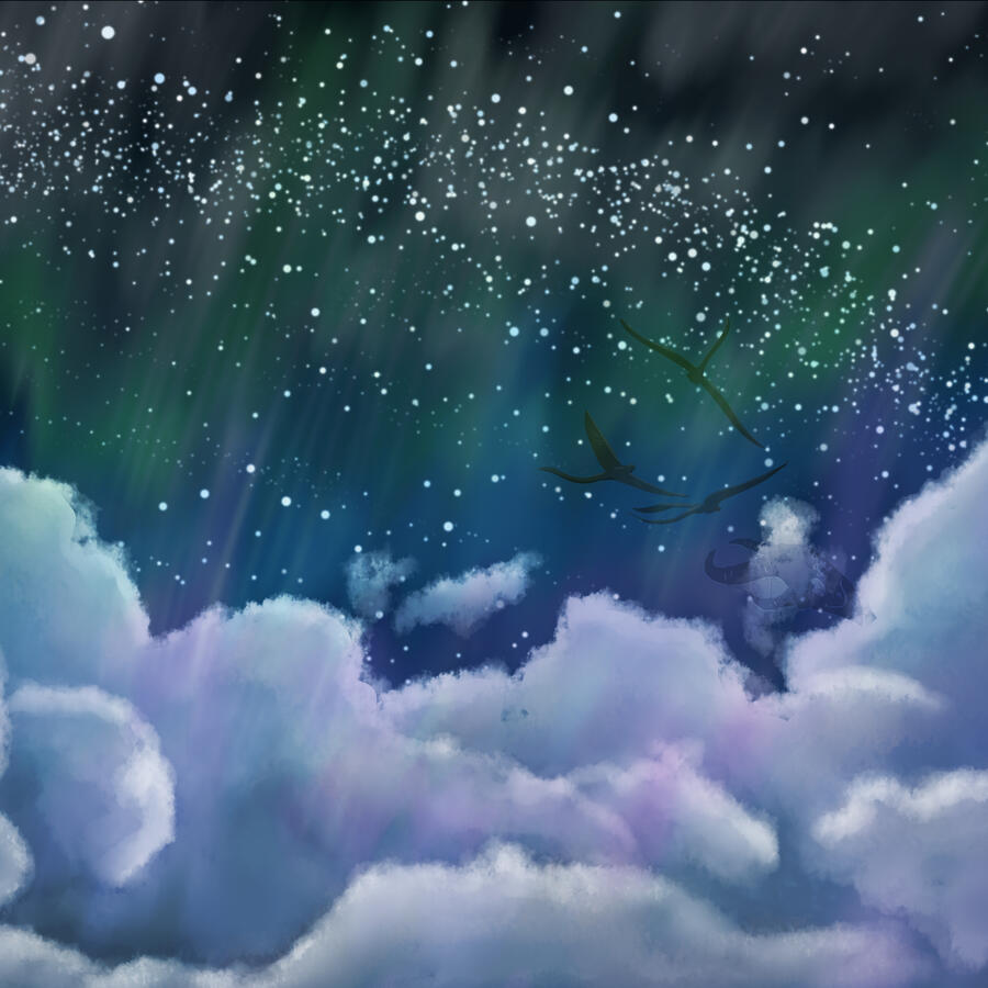Night Sky