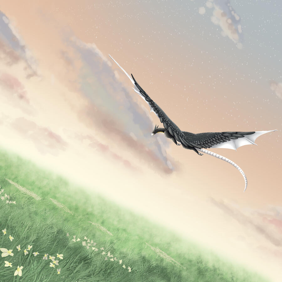 Flight